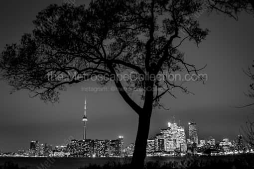 The Toronto Skyline from Wards Island -- Toronto Black and White Photos