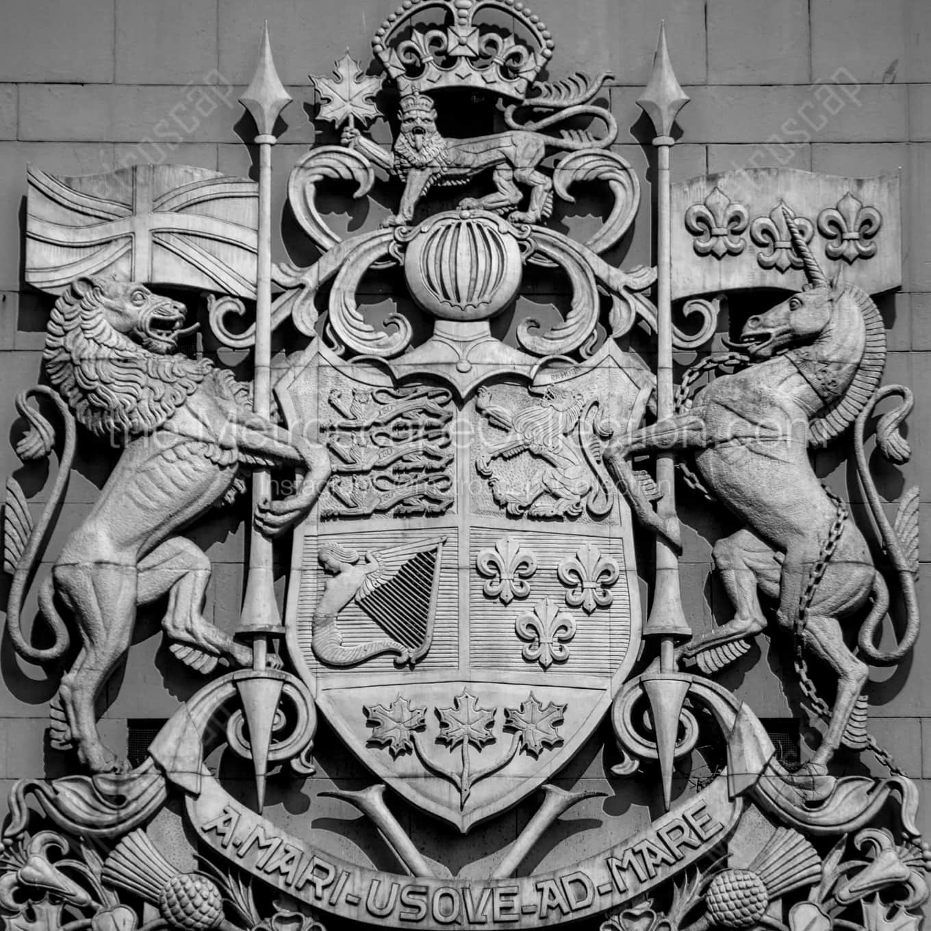 Canada's Coat of Arms on Canada Post Building landscape black and white Photography Canada's Coat of Arms on Canada Post Building landscape black and white Photography square crop
