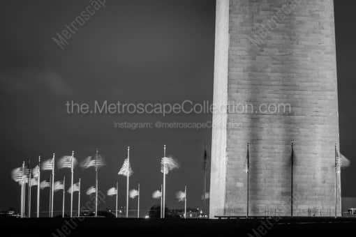 United States Flags Surround the Washington Monument -- Washington DC Black and White Photos