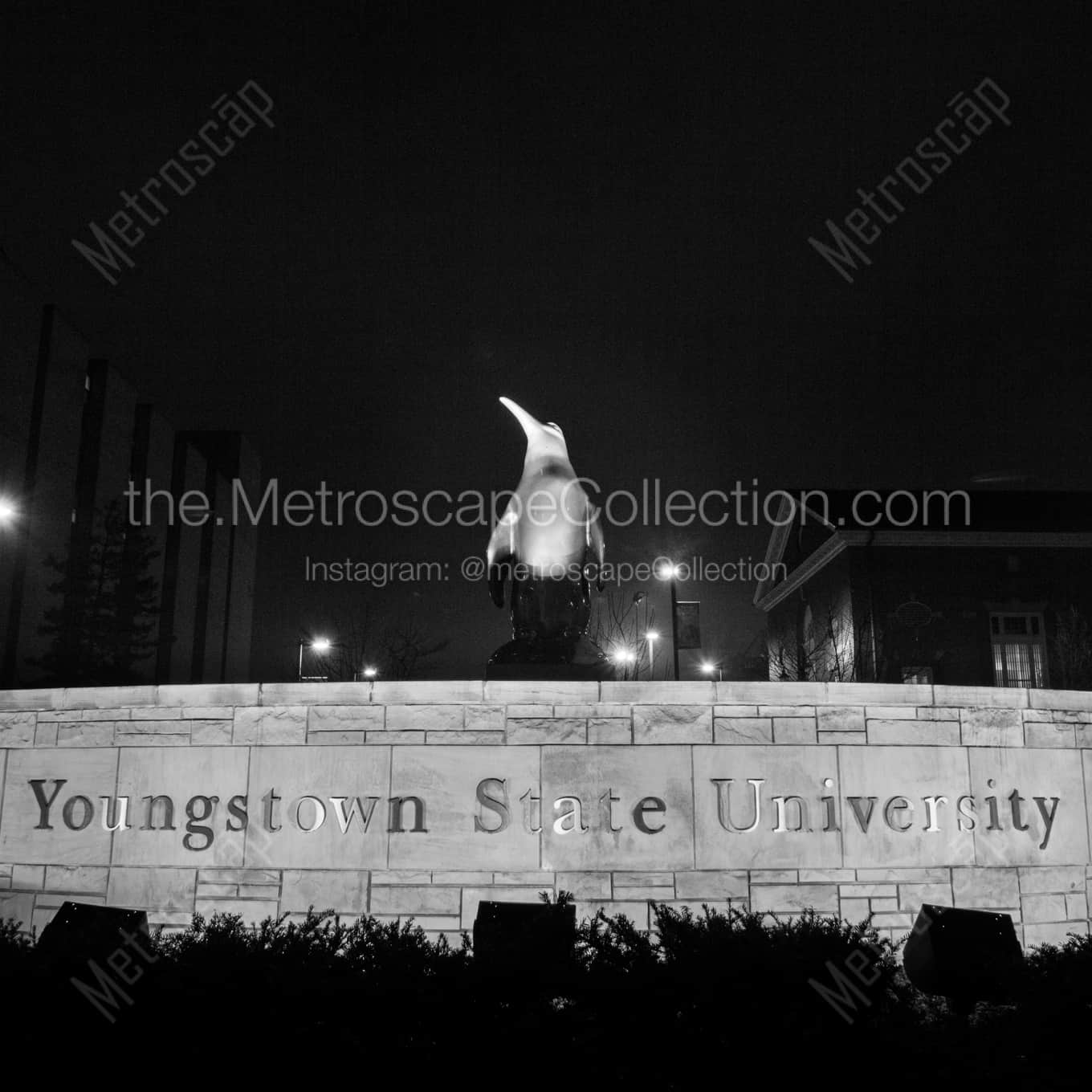 The Youngstown State Sign landscape black and white Photography square crop