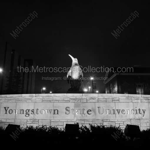 Matte Black WOOD Framed Black and White Youngstown Photograph: The Youngstown State Sign in a Square Matte Black Wood Frame