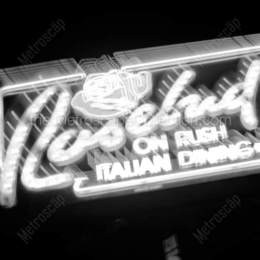 Rosebud on Rush -- Chicago Black and White Photography