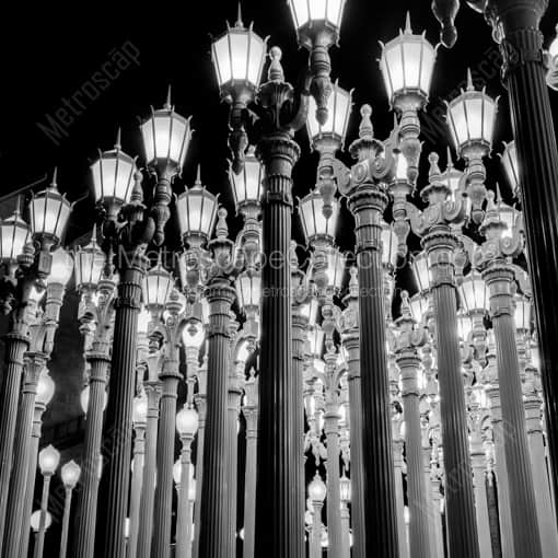 The Urban Lights at LACMA -- Los Angeles Black and White Photography