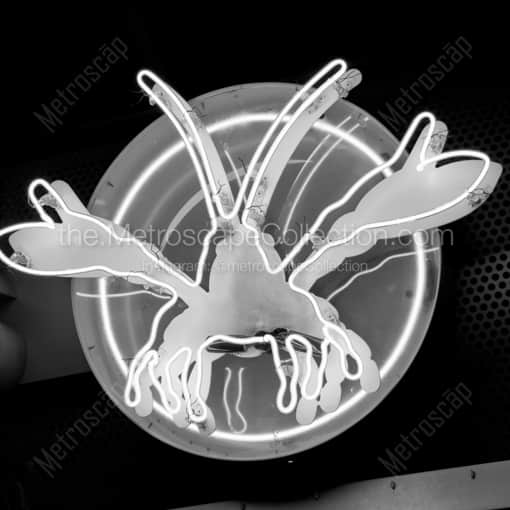 The Neon Lobster of J Gumbos on Fourth Street -- Louisville Black and White Photography