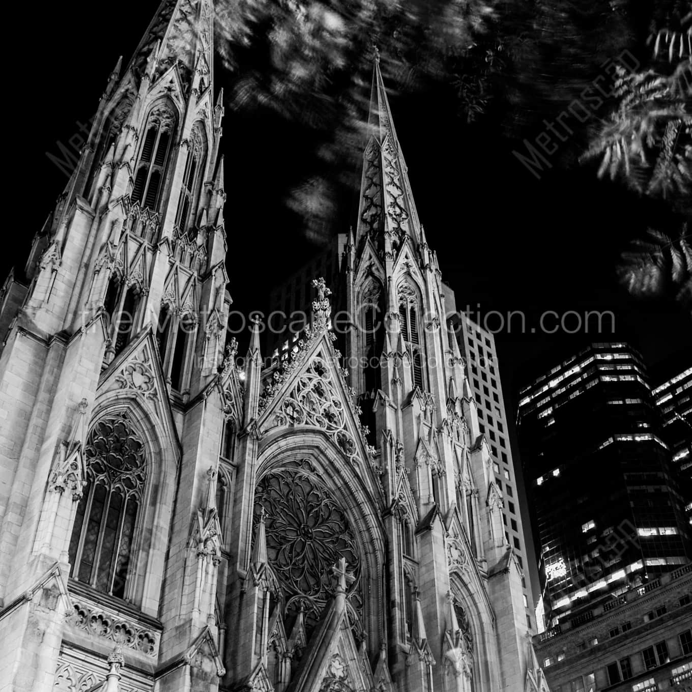 St Patricks Cathedrial in New York City night time black and white Photography square crop