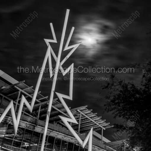 The Tampa Bay Lightening Bolts -- Tampa Black and White Photography