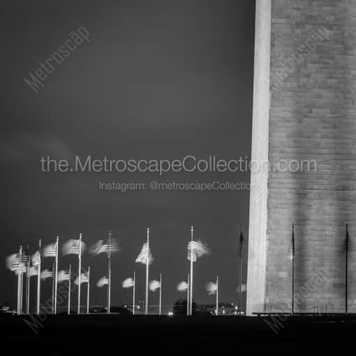 United States Flags Surround the Washington Monument -- Washington DC Black and White Photography