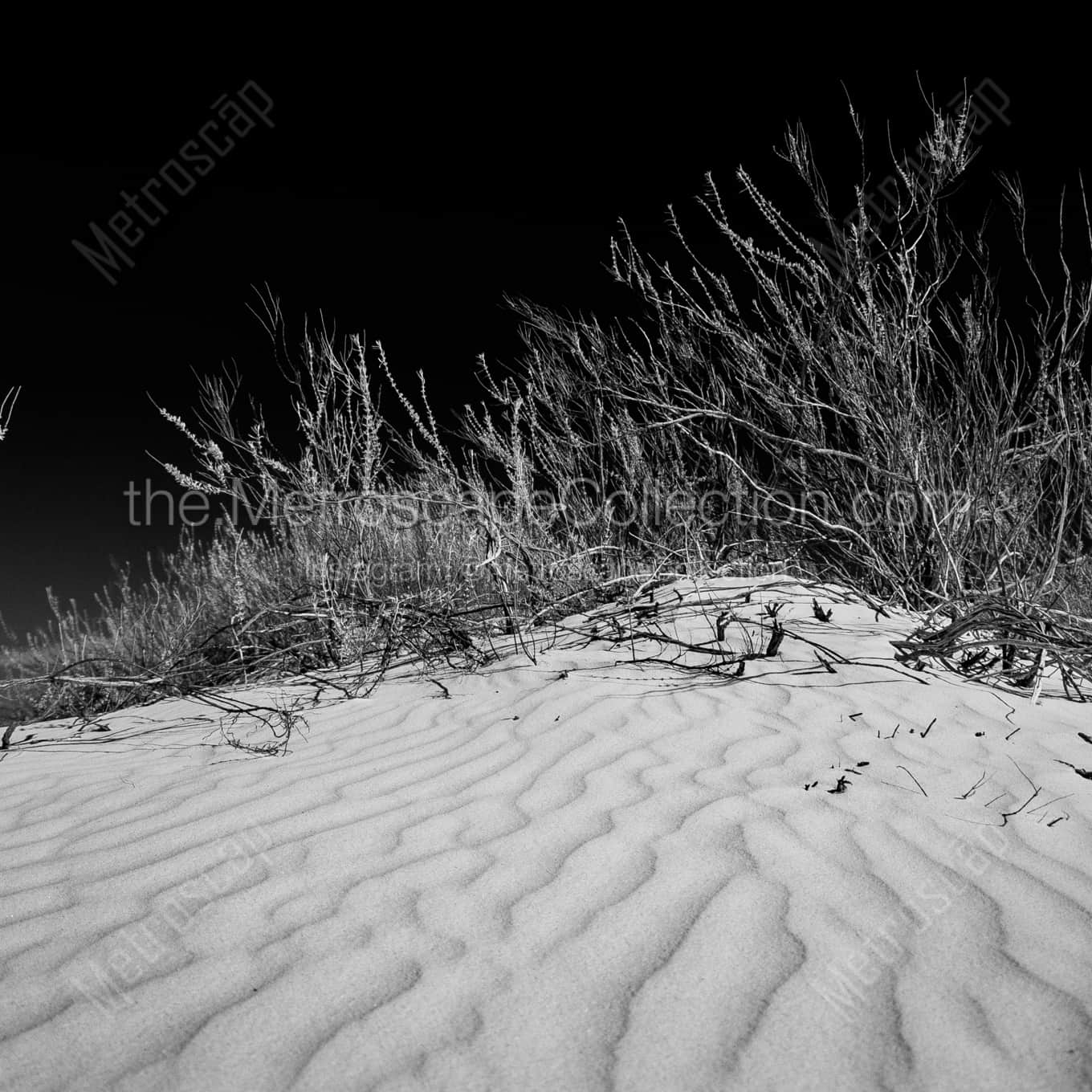 Sand Dunes in White Sands National Park night time black and white Photography square crop