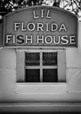 Vertical Lil Florida Fish House Framed Photos