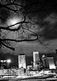 Vertical The Akron Skyline from Glendale Park black and white Pictures