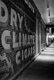 Vertical Dry Climate Cigars Wall Mural in Downtown Aspen black and white Pictures