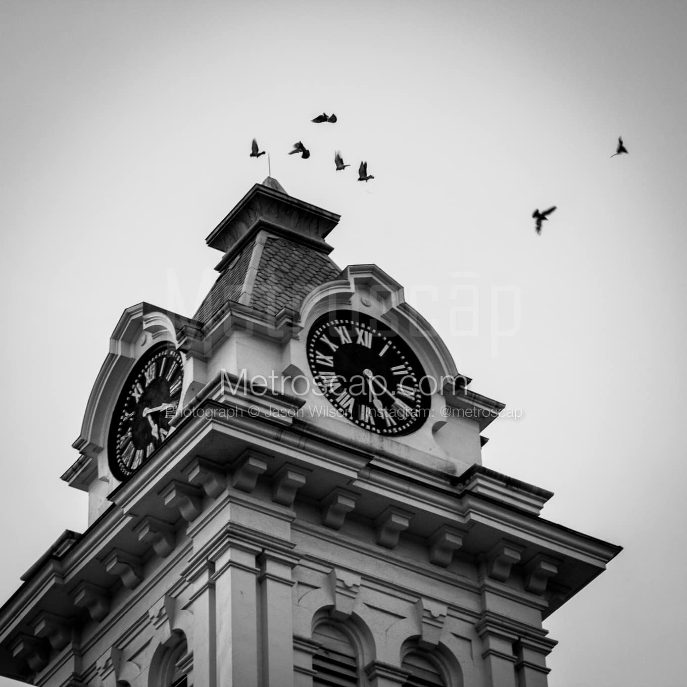 Birds Fly Around the Athens County Courthouse black and white Photography Birds Fly Around the Athens County Courthouse black and white Photography square crop