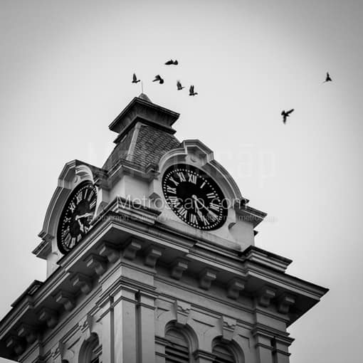 Matte Black WOOD Framed Black and White Athens Photograph: Birds Fly Around the Athens County Courthouse in a Square Matte Black Wood Frame