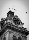 Vertical Birds Fly Around the Athens County Courthouse black and white Photos