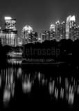 Vertical The Midtown Atlanta Skyline from Piedmont Park Framed Photos