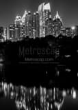 Vertical The Midtown Atlanta Skyline from Piedmont Park at Night Framed Photos