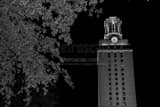 Horizontal The UT Tower at Night black and white Pictures