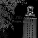 Square The UT Tower at Night black and white Pictures