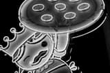 Horizontal The Home Slice Pizza Guy black and white Pictures