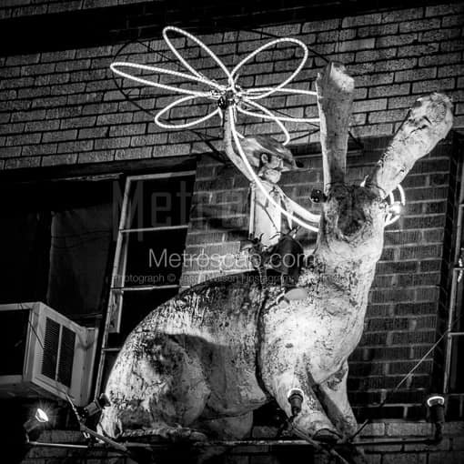 Keep Austin Weird -- Austin Black and White Photography
