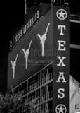 Vertical Texas Memorial Stadium Photography