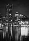 Vertical The Baltimore Aquarium on the Inner Harbor Photography