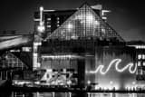Horizontal The Baltimore Aquarium Photography