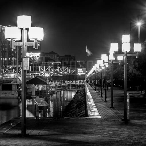 Geometric Lamps Line the Inner Harbor -- Baltimore Black and White Photography