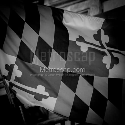 The Maryland Flag on Baltimore City Hall -- Baltimore Black and White Photography