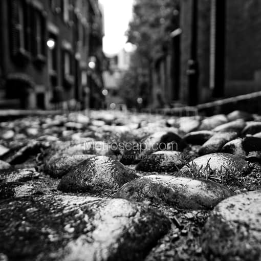The Cobblestones on Acorn Street -- Boston Black and White Photography