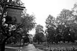 Horizontal Boston Public Garden Framed Photos