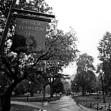 Square Boston Public Garden Framed Photos