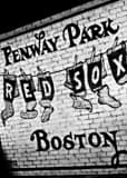Vertical Boston Red Sox Wall Mural Framed Photos