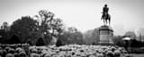 Panoramic The George Washington Equestrian Statue in a Rainy Public Garden black and white Photos
