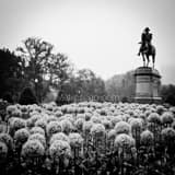Square The George Washington Equestrian Statue in a Rainy Public Garden black and white Photos