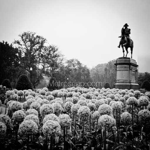 Boston Photography of The George Washington Equestrian Statue in a Rainy Public Garden The George Washington Equestrian Statue in a Rainy Public Garden -- Boston Black and White Photography
