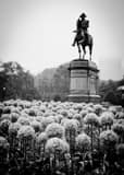 Vertical The George Washington Equestrian Statue in a Rainy Public Garden black and white Photos