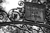 Horizontal Harvard Holworthy Gate Framed Photos