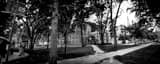 Panoramic Harvard Yard Photography