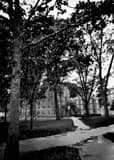 Vertical Harvard Yard Photography