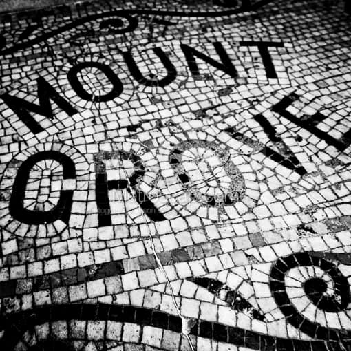 Mount Grove Tile Work in Beacon Hill -- Boston Black and White Photography