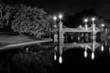 Horizontal Public Garden Suspension Bridge Framed Photos