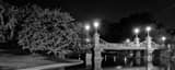 Panoramic Public Garden Suspension Bridge Framed Photos