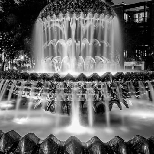 The Pineapple Fountain at Night -- Charleston Black and White Photography