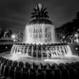 Square The Pineapple Fountain in Charleston black and white Photography