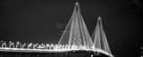 Panoramic The Ravenel Bridge at Night black and white Photography