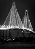 Vertical The Ravenel Bridge at Night black and white Photography