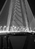 Vertical A Close-up Shot of the Ravenel Bridge at Night black and white Photography