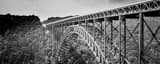Panoramic The New River Gorge Bridge black and white Photos