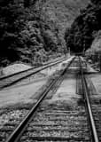 Vertical West Virginia Train Tracks Framed Photos